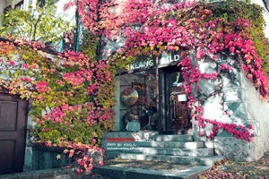 《关键之战：上港争冠在望》