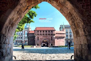 动人瞬间层出不穷，凯旋归来的是冠军选手