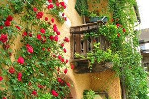 曼联客场逆袭，夺得关键三分