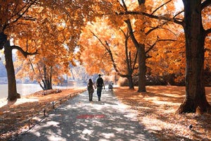 拉齐奥功勉退役，球迷为其送上祝福